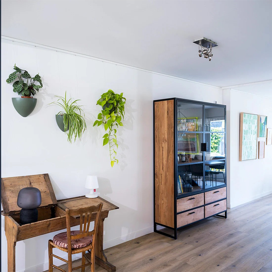 Botaniq – Obrázok 7