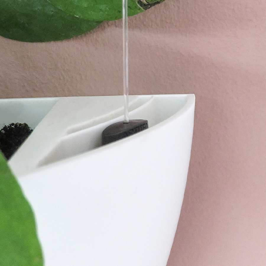 Botaniq – Obrázok 8