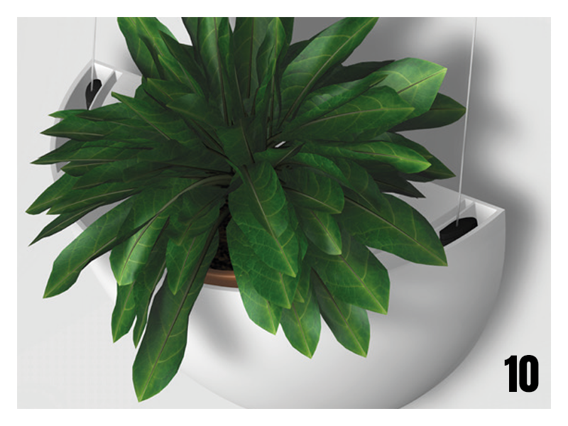 Botaniq – Obrázok 18