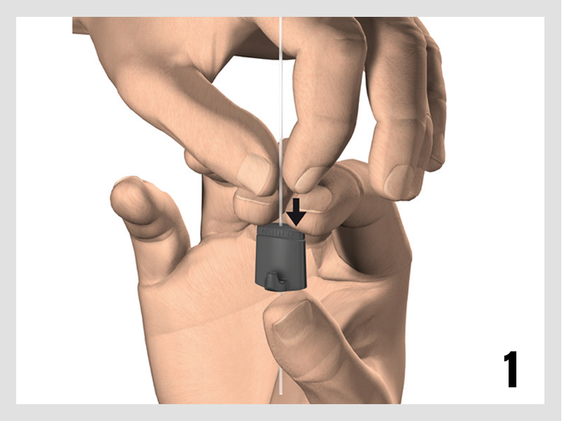 Botaniq – Obrázok 10