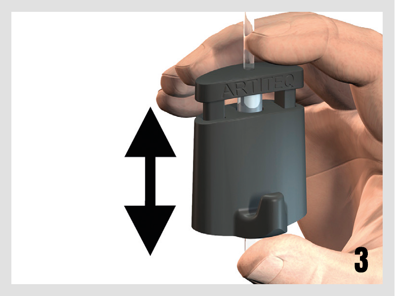 Botaniq – Obrázok 12